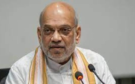 गुजरात में भाजपा के चाणक्य का दाव उल्टा पड़ गया.