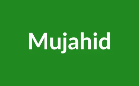 Mujahid Name Meaning in English