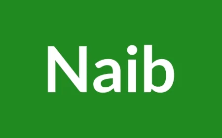 Naib Name Meaning in English
