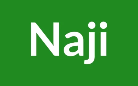 Naji Name Meaning in English