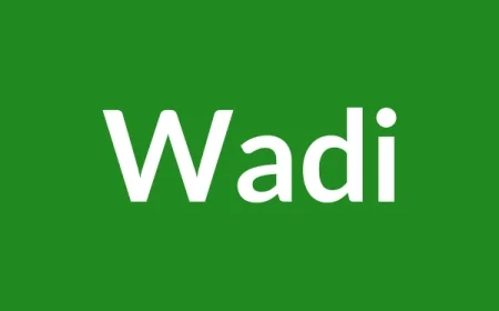 Wadi Name Meaning in English