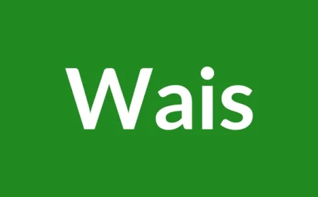 Wais Name Meaning in English