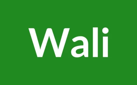 Wali Name Meaning in English