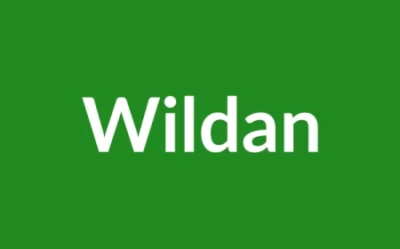 Wildan Name Meaning in English