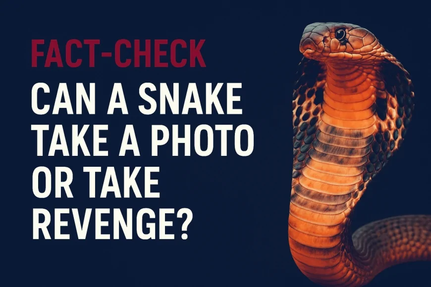Do Snakes Take Revenge or Remember Faces? | Fact-Check