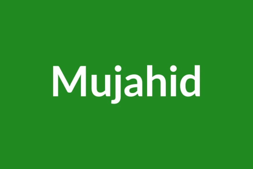 Mujahid Name Meaning in English