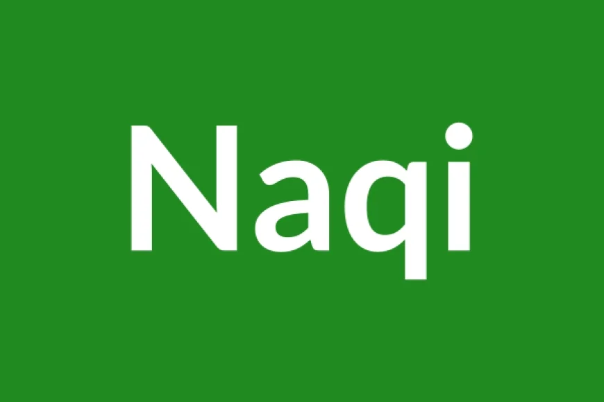 Naqi Name Meaning in English