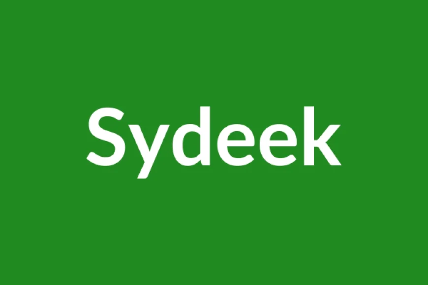 Sydeek Name Meaning in English
