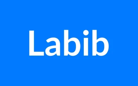 Labib नाम का मतलब | Labib Name Meaning in Hindi