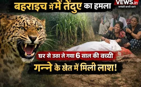 बहराइच में तेंदुए का हमला: घर से बच्ची को उठाकर ले गया तेंदुआ, मौत
