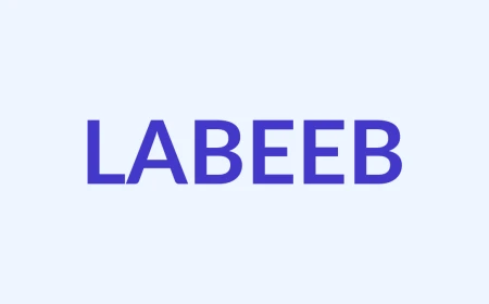 लबिब Name Meaning